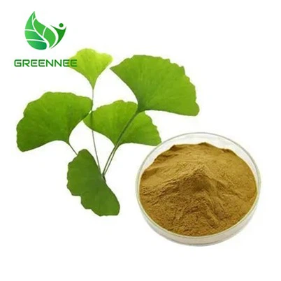 אבקת תמצית גינקו בילובה